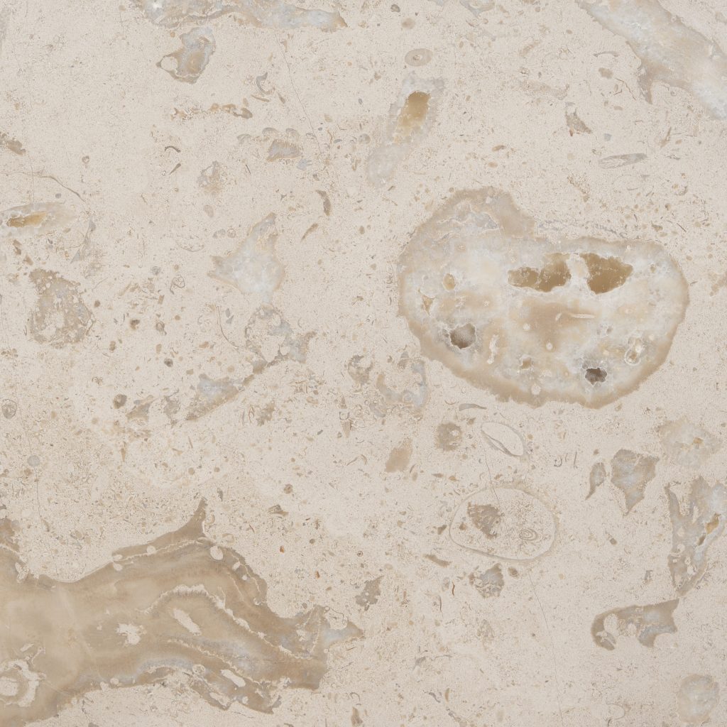 Evora Fossil