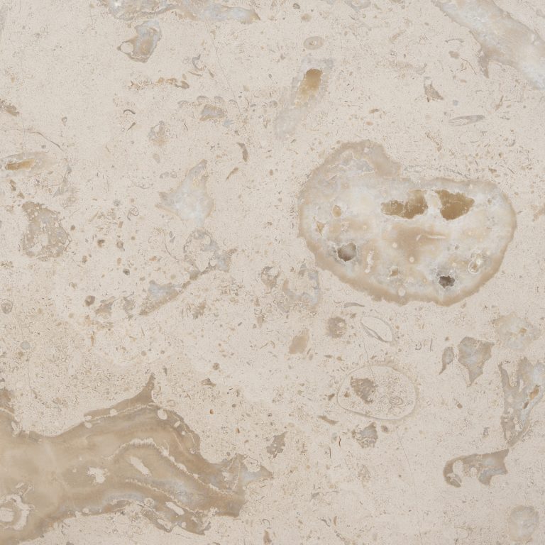 Evora Fossil natural stone