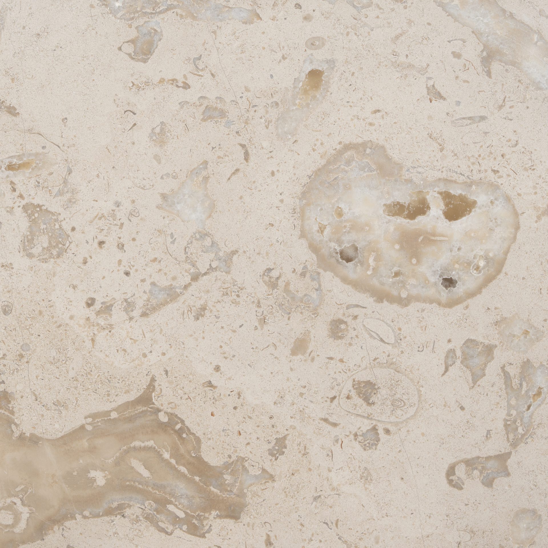 Evora Fossil natural stone brick