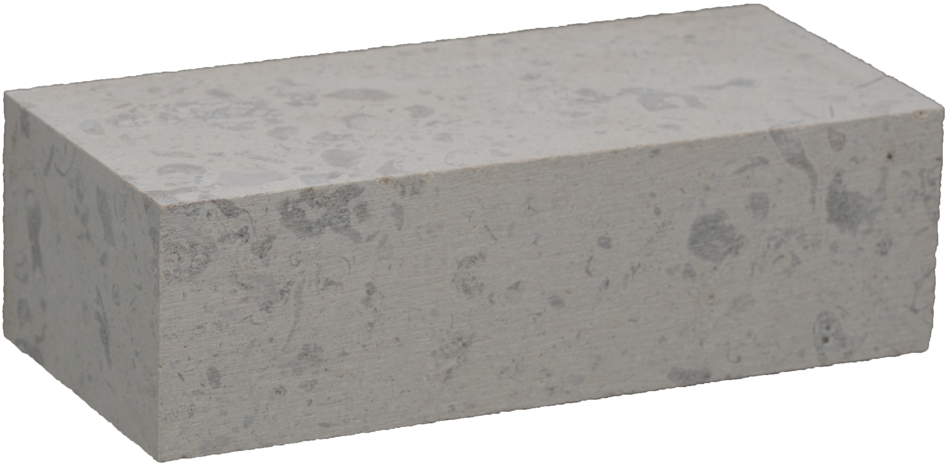 Evora Fossil sawn finish
