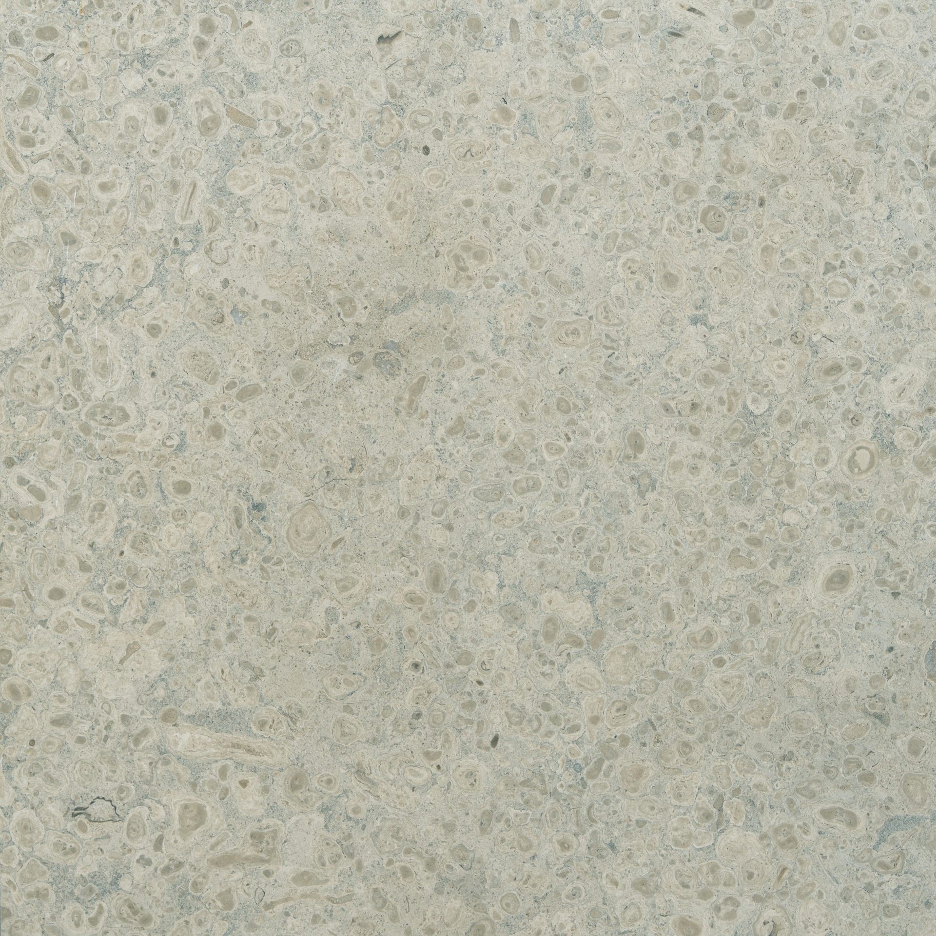 Grandola Grey natural stone brick