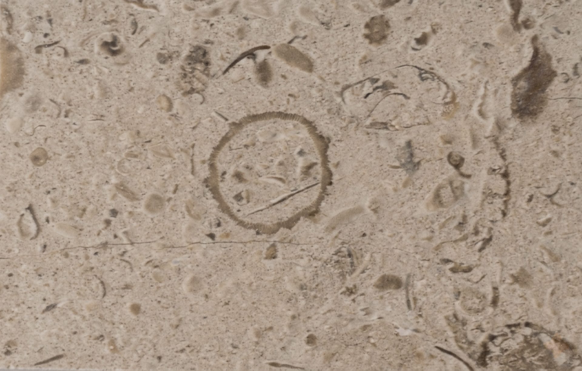 Brushed natural stone finish